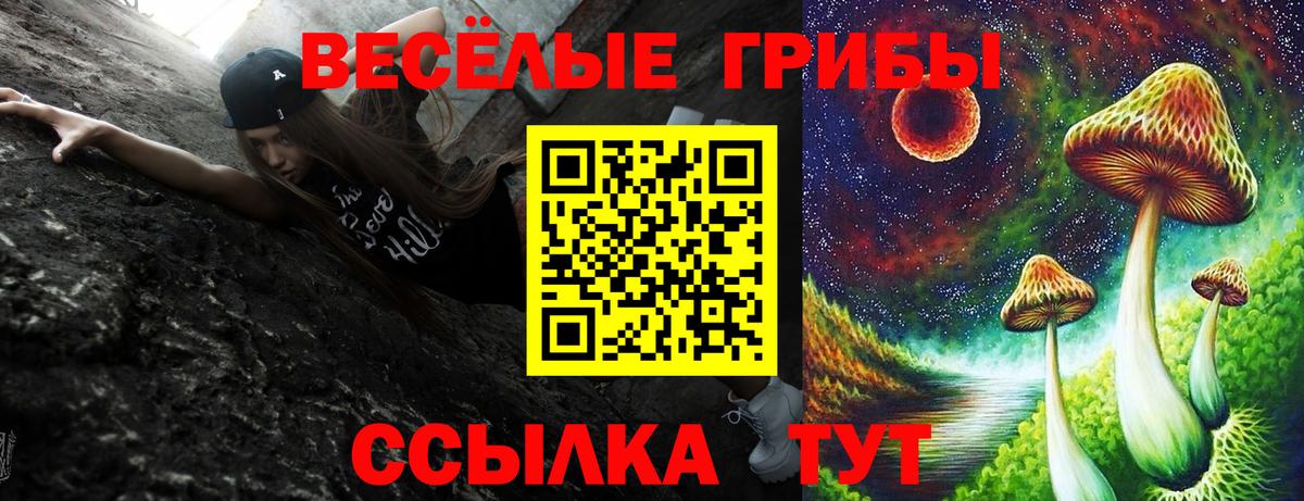 Галлюциногенные грибы ЛСД Шатура